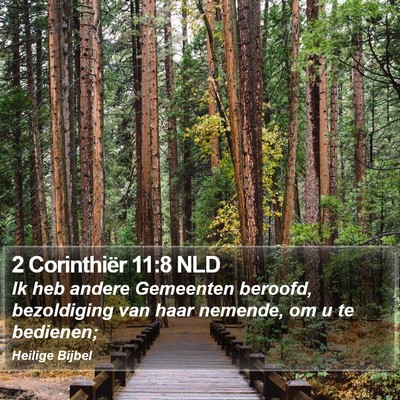 2 Corinthiër 11:8 NLD Bible Verse Image