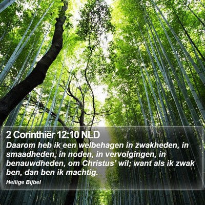 2 Corinthiër 12:10 NLD Bible Verse Image