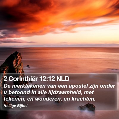 2 Corinthiër 12:12 NLD Bible Verse Image