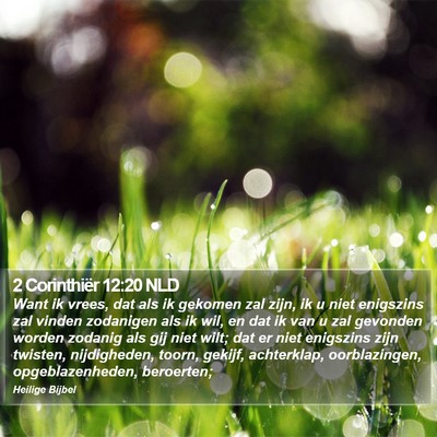 2 Corinthiër 12:20 NLD Bible Verse Image