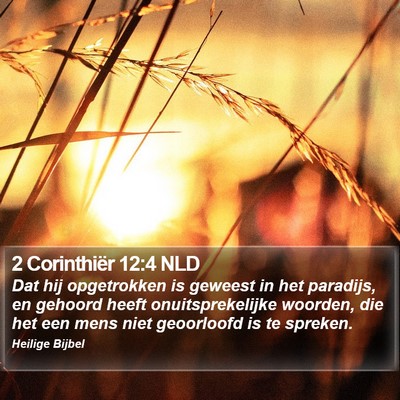 2 Corinthiër 12:4 NLD Bible Verse Image