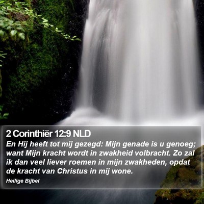 2 Corinthiër 12:9 NLD Bible Verse Image