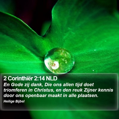 2 Corinthiër 2:14 NLD Bible Verse Image