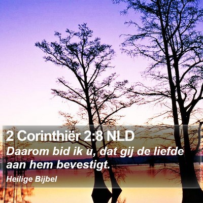 2 Corinthiër 2:8 NLD Bible Verse Image