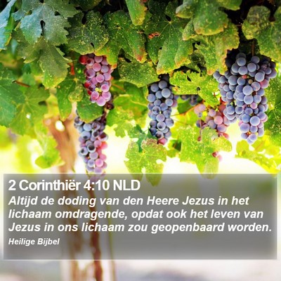2 Corinthiër 4:10 NLD Bible Verse Image
