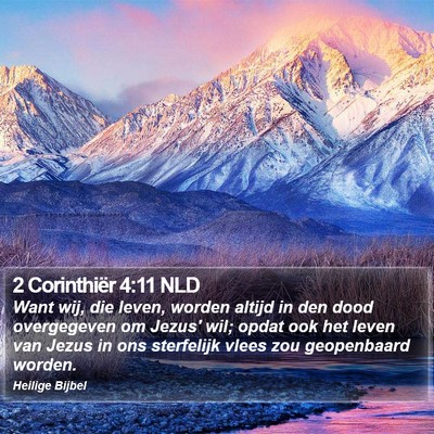 2 Corinthiër 4:11 NLD Bible Verse Image
