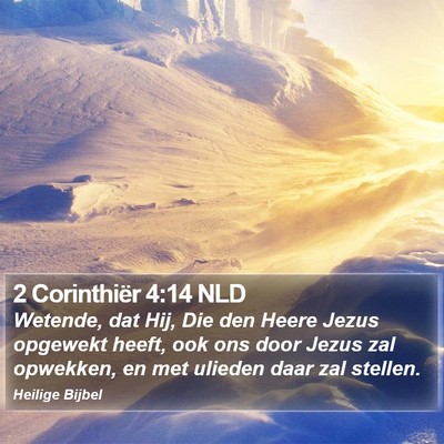2 Corinthiër 4:14 NLD Bible Verse Image