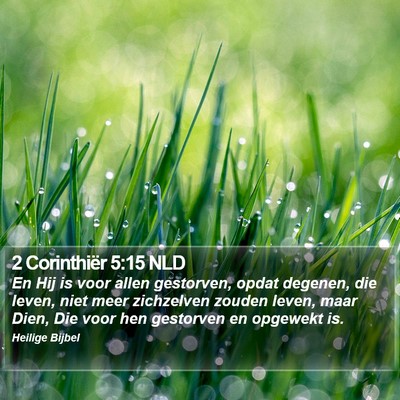 2 Corinthiër 5:15 NLD Bible Verse Image