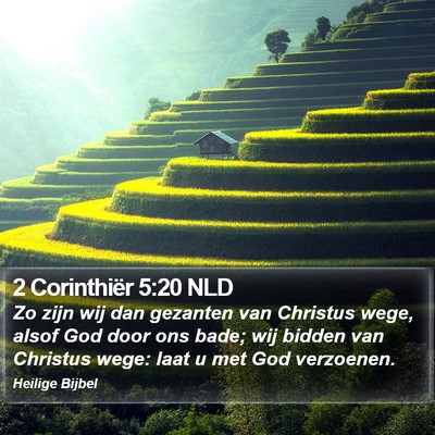 2 Corinthiër 5:20 NLD Bible Verse Image