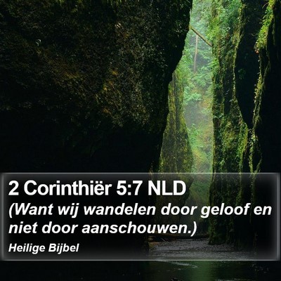2 Corinthiër 5:7 NLD Bible Verse Image