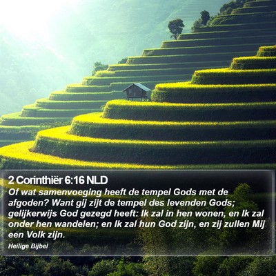 2 Corinthiër 6:16 NLD Bible Verse Image