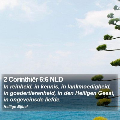 2 Corinthiër 6:6 NLD Bible Verse Image