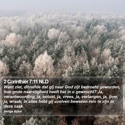 2 Corinthiër 7:11 NLD Bible Verse Image