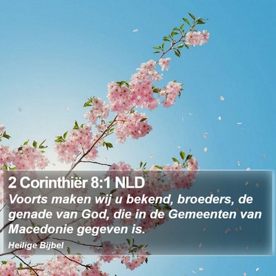 2 Corinthiër 8:1 NLD Bible Verse Image