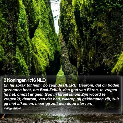 2 Koningen 1:16 NLD Bible Verse Image