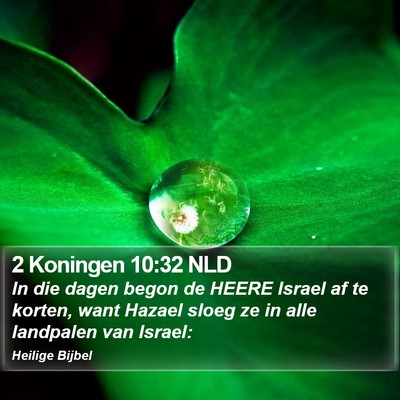 2 Koningen 10:32 NLD Bible Verse Image