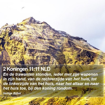 2 Koningen 11:11 NLD Bible Verse Image