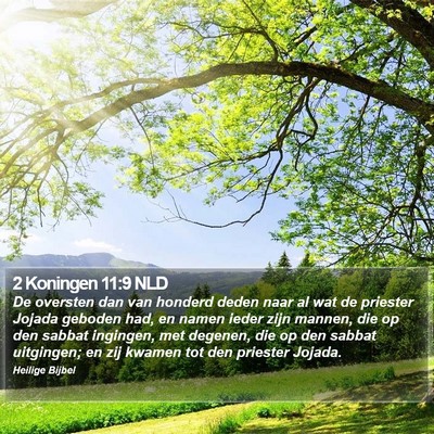 2 Koningen 11:9 NLD Bible Verse Image