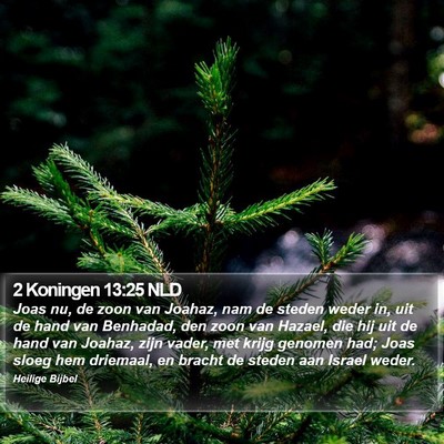 2 Koningen 13:25 NLD Bible Verse Image