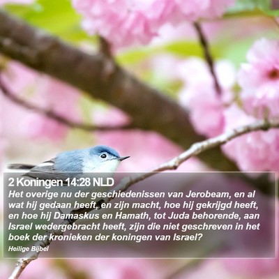 2 Koningen 14:28 NLD Bible Verse Image
