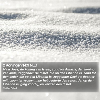 2 Koningen 14:9 NLD Bible Verse Image