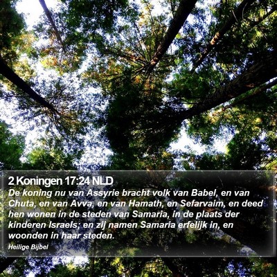2 Koningen 17:24 NLD Bible Verse Image