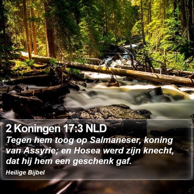 2 Koningen 17:3 NLD Bible Verse Image