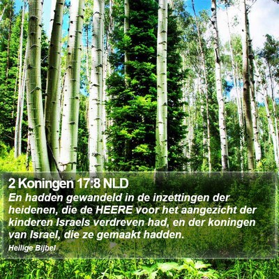 2 Koningen 17:8 NLD Bible Verse Image