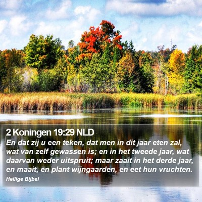 2 Koningen 19:29 NLD Bible Verse Image