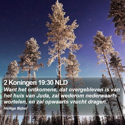 2 Koningen 19:30 NLD Bible Verse Image