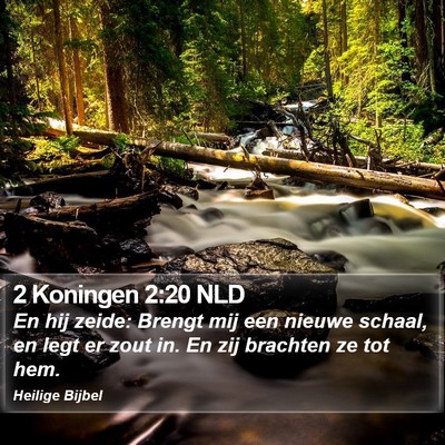 2 Koningen 2:20 NLD Bible Verse Image