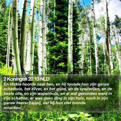 2 Koningen 20:13 NLD Bible Verse Image