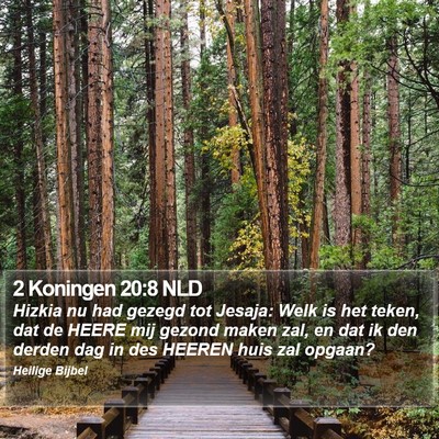 2 Koningen 20:8 NLD Bible Verse Image