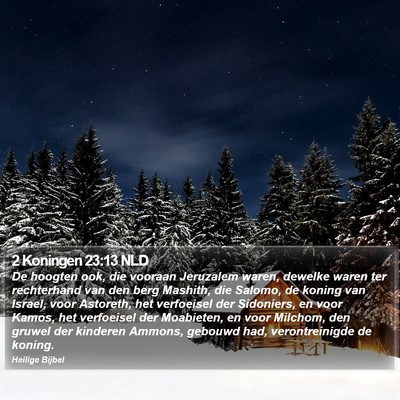2 Koningen 23:13 NLD Bible Verse Image