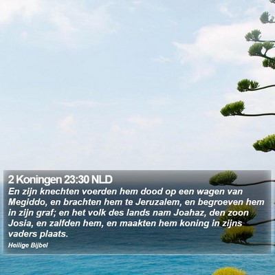 2 Koningen 23:30 NLD Bible Verse Image