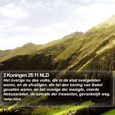2 Koningen 25:11 NLD Bible Verse Image