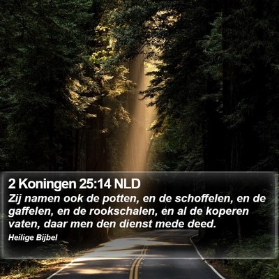 2 Koningen 25:14 NLD Bible Verse Image