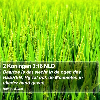 2 Koningen 3:18 NLD Bible Verse Image