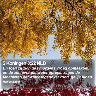 2 Koningen 3:22 NLD Bible Verse Image