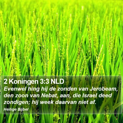 2 Koningen 3:3 NLD Bible Verse Image