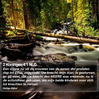 2 Koningen 4:1 NLD Bible Verse Image
