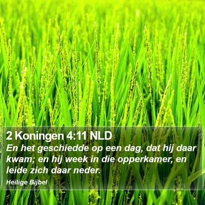 2 Koningen 4:11 NLD Bible Verse Image