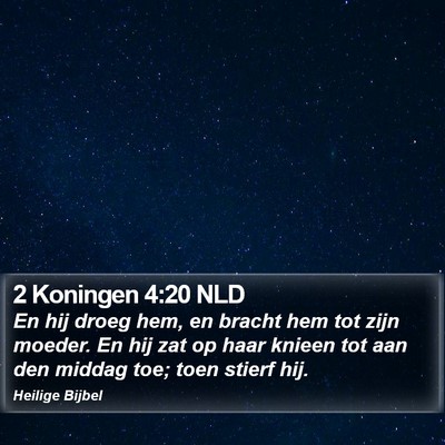 2 Koningen 4:20 NLD Bible Verse Image