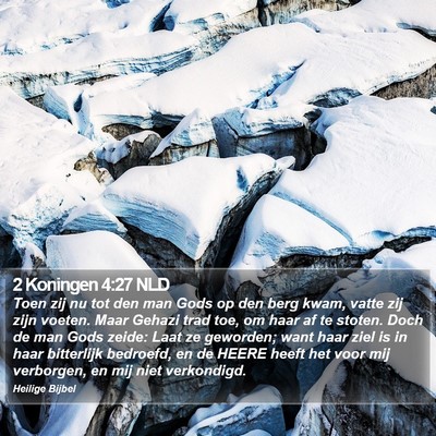 2 Koningen 4:27 NLD Bible Verse Image