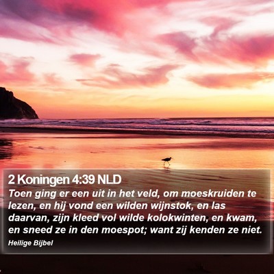 2 Koningen 4:39 NLD Bible Verse Image