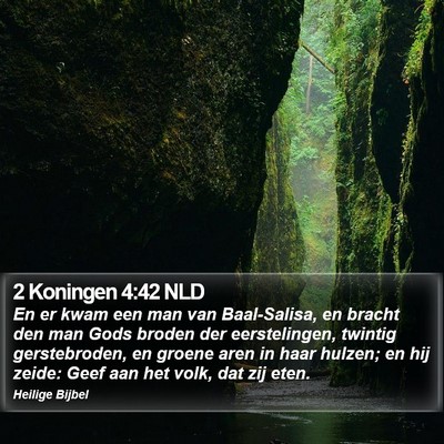 2 Koningen 4:42 NLD Bible Verse Image