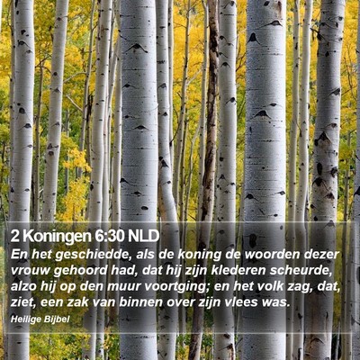 2 Koningen 6:30 NLD Bible Verse Image