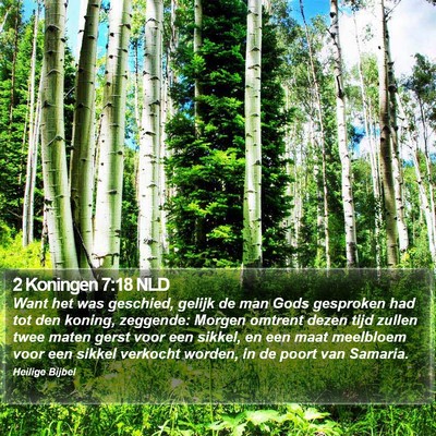 2 Koningen 7:18 NLD Bible Verse Image