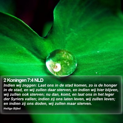 2 Koningen 7:4 NLD Bible Verse Image