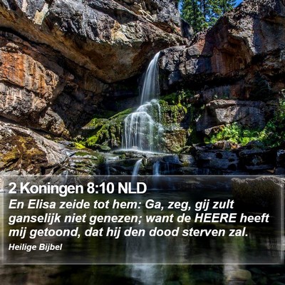 2 Koningen 8:10 NLD Bible Verse Image